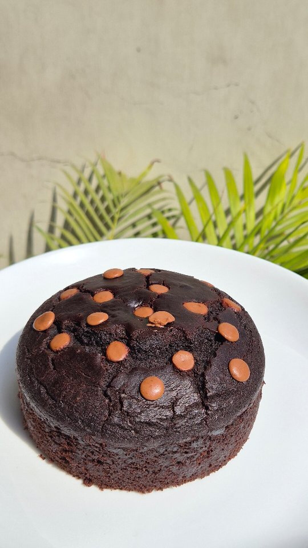 Whole wheat chocolate cake